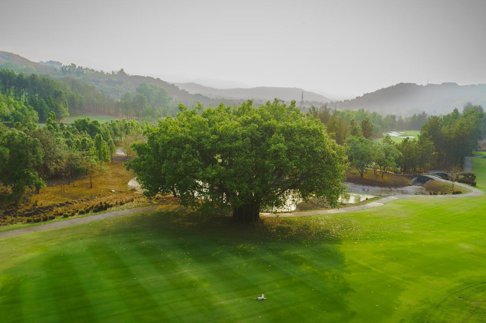 Oxford Golf Resort Pirangut Exteriör bild